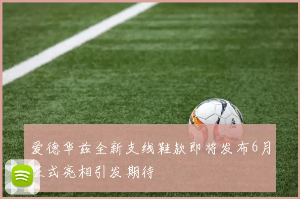 爱德华兹全新支线鞋款即将发布6月正式亮相引发期待